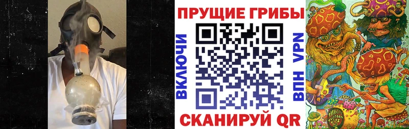 где продают   Афипский  блэк спрут вход  Галлюциногенные грибы Psilocybine cubensis 